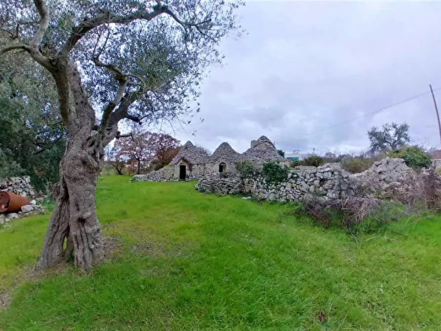 Immagine 13 di Rustico / casale in vendita  a Locorotondo
