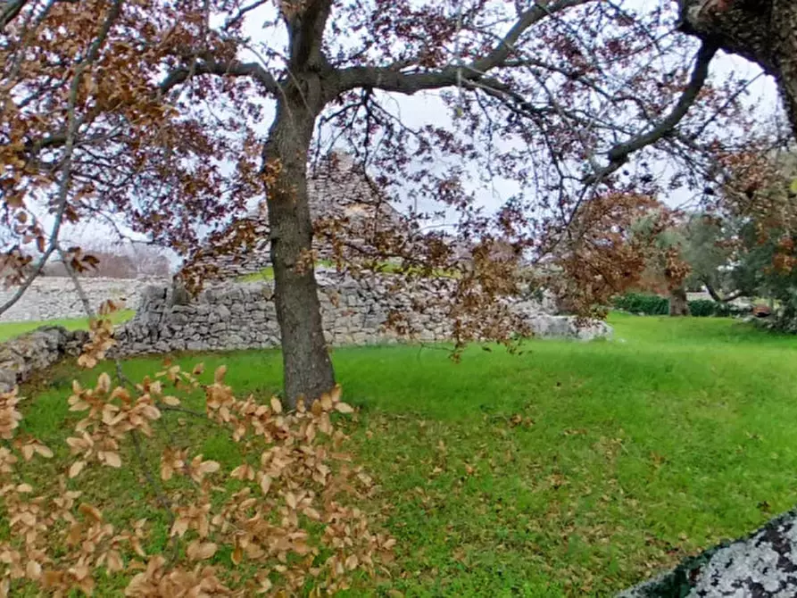 Immagine 16 di Rustico / casale in vendita  a Locorotondo