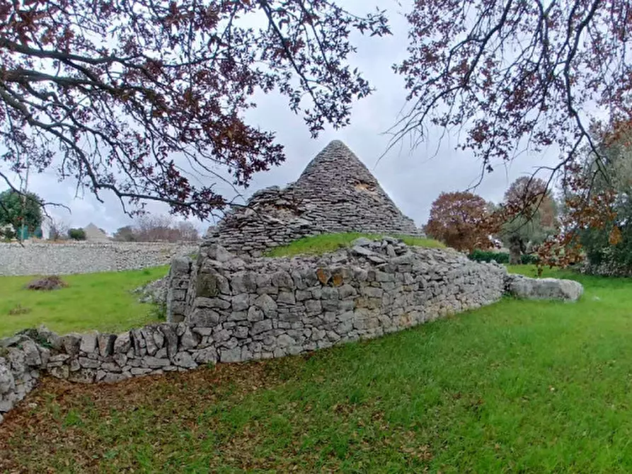 Immagine 17 di Rustico / casale in vendita  a Locorotondo