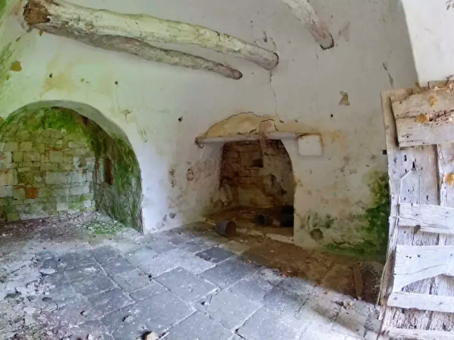 Immagine 18 di Rustico / casale in vendita  a Locorotondo