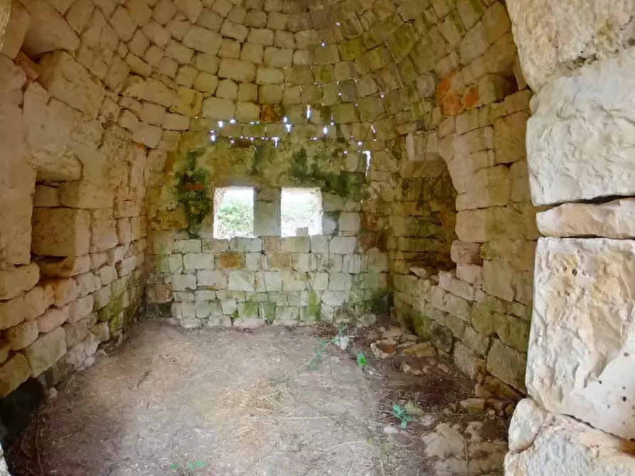 Immagine 21 di Rustico / casale in vendita  a Locorotondo