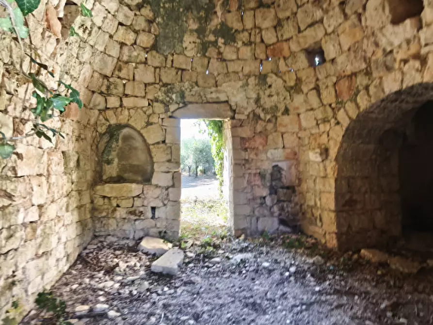 Immagine 24 di Rustico / casale in vendita  a Locorotondo