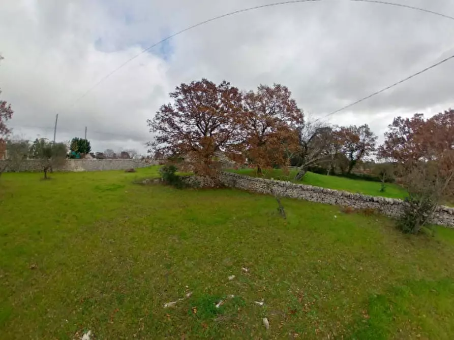 Immagine 31 di Rustico / casale in vendita  a Locorotondo