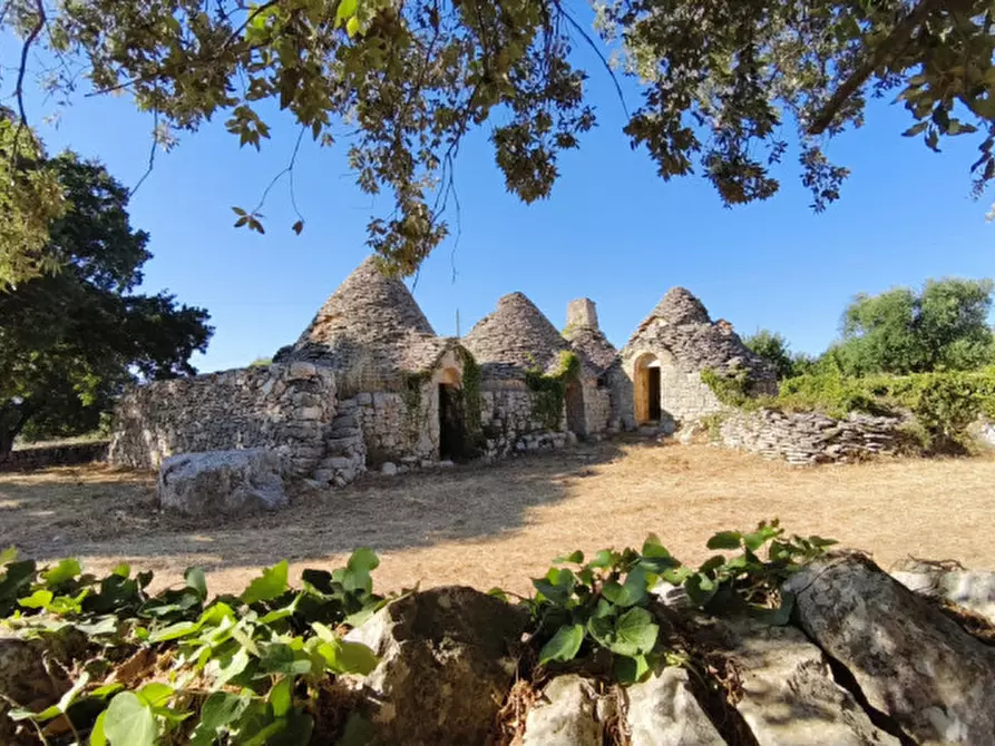 Immagine 39 di Rustico / casale in vendita  a Locorotondo