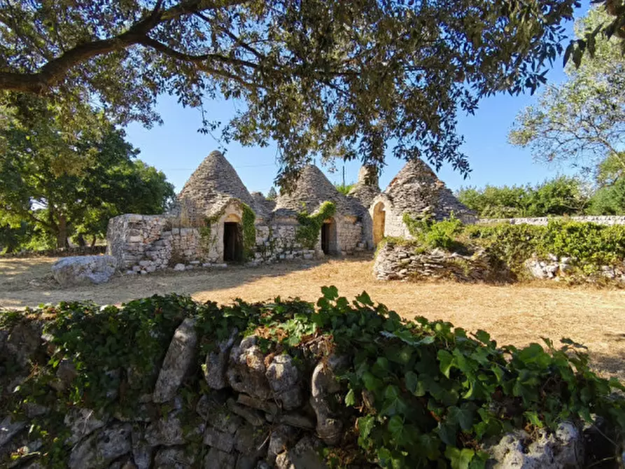 Immagine 40 di Rustico / casale in vendita  a Locorotondo
