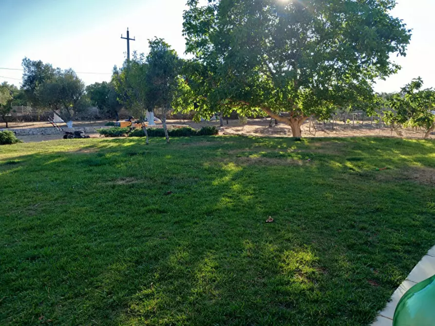 Immagine 34 di Villa in vendita  in C.da Donnagnora a Ostuni