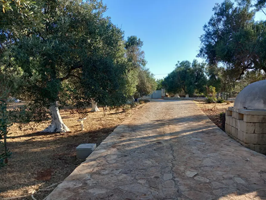 Immagine 37 di Villa in affitto  in C.da Donnagnora a Ostuni