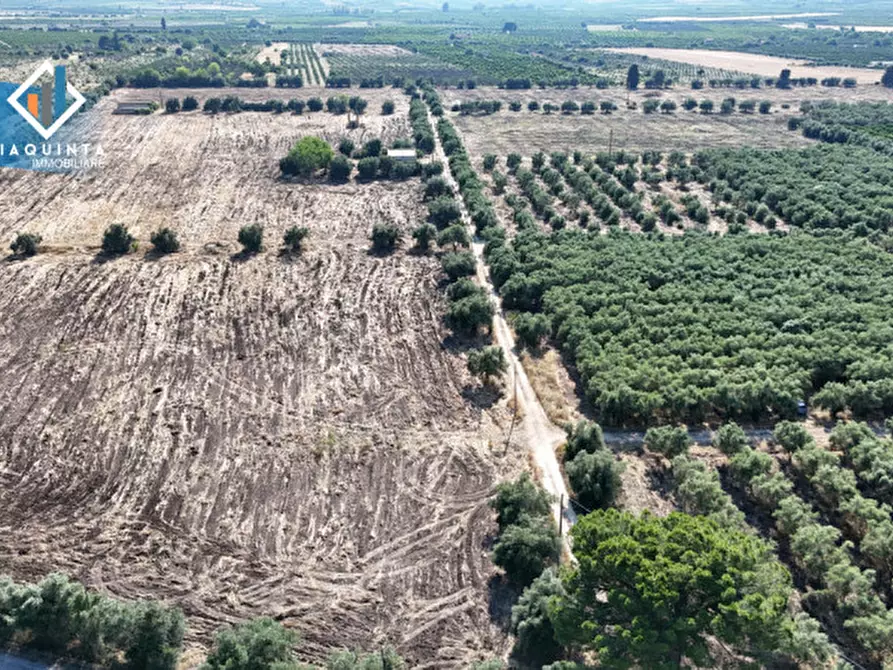 Immagine 1 di Terreno in vendita  in c.da Canalotto snc a Mineo