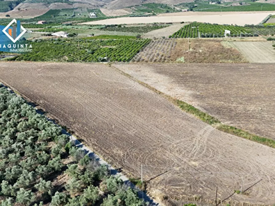Immagine 2 di Terreno in vendita  in c.da Canalotto snc a Mineo
