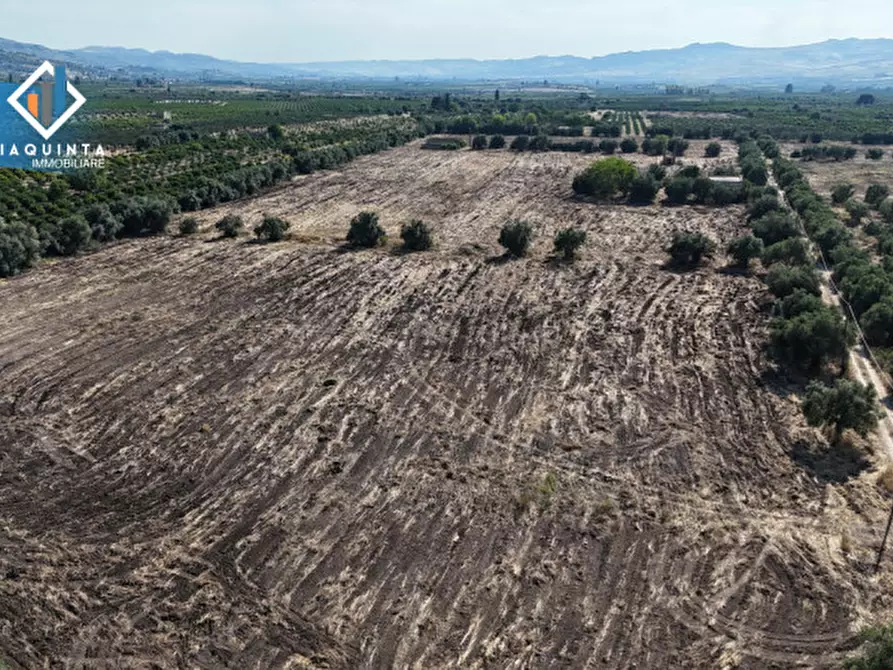 Immagine 3 di Terreno in vendita  in c.da Canalotto snc a Mineo