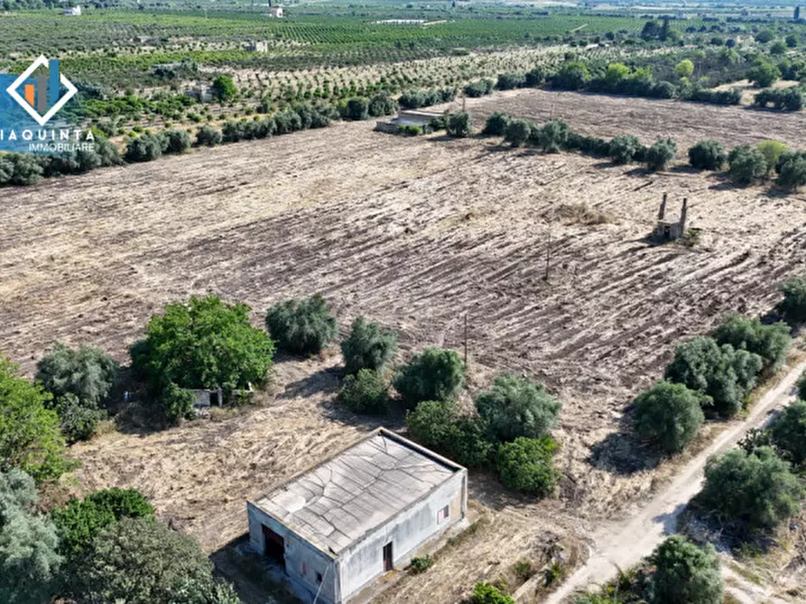 Immagine 4 di Terreno in vendita  in c.da Canalotto snc a Mineo