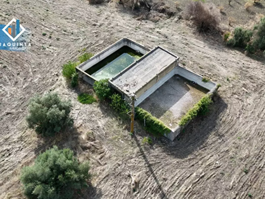 Immagine 5 di Terreno in vendita  in c.da Canalotto snc a Mineo