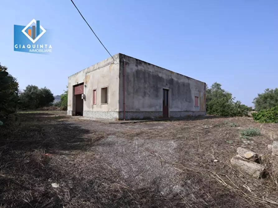 Immagine 6 di Terreno in vendita  in c.da Canalotto snc a Mineo