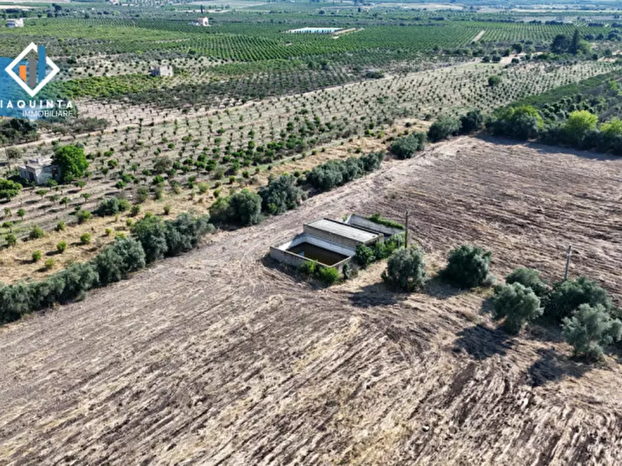 Immagine 7 di Terreno in vendita  in c.da Canalotto snc a Mineo