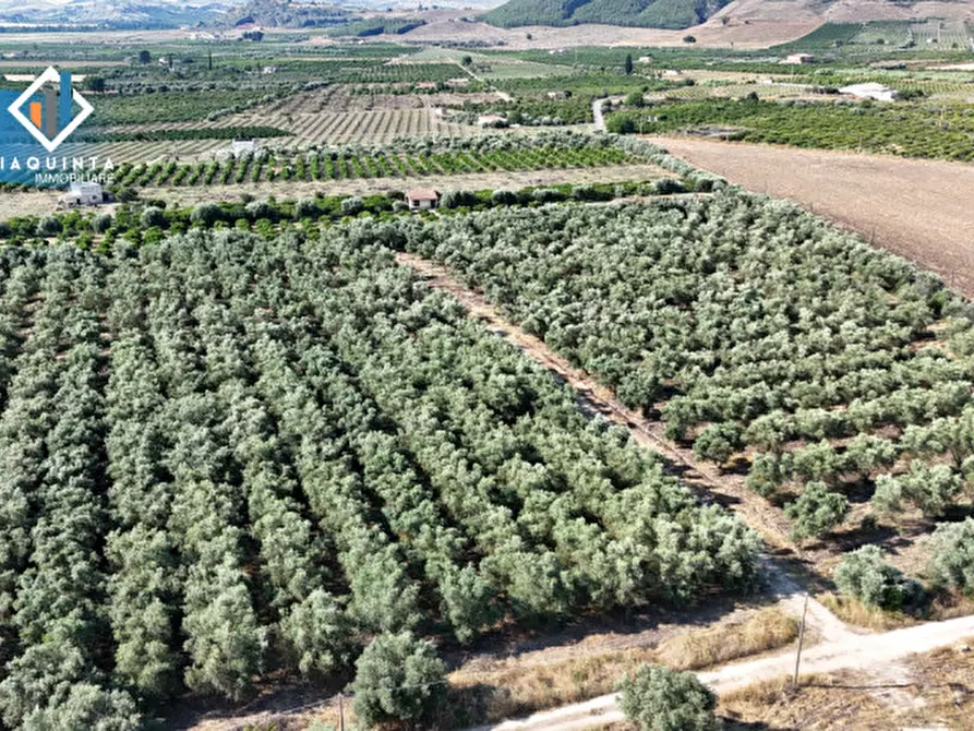 Immagine 8 di Terreno in vendita  in c.da Canalotto snc a Mineo