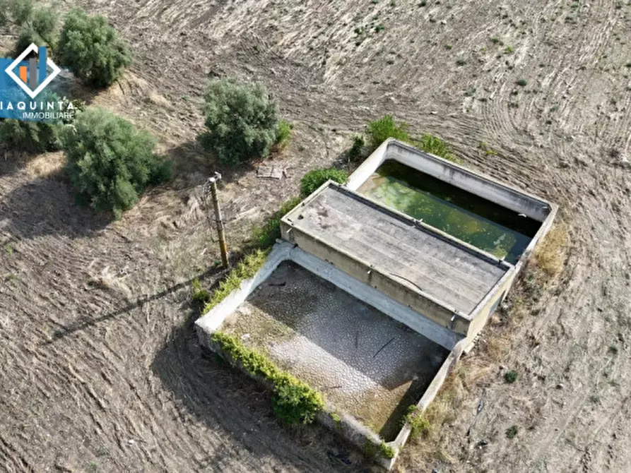 Immagine 11 di Terreno in vendita  in c.da Canalotto snc a Mineo