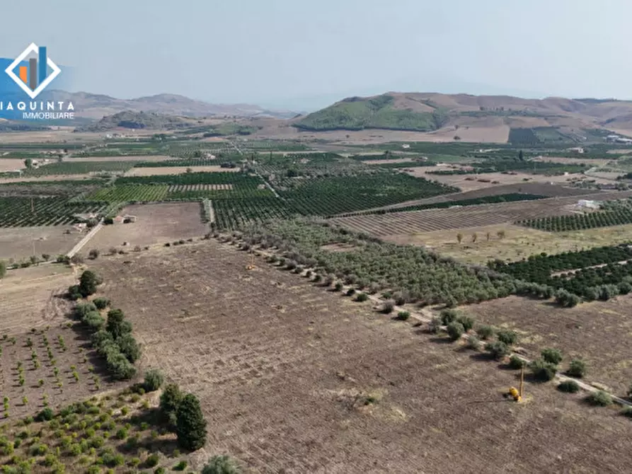 Immagine 12 di Terreno in vendita  in c.da Canalotto snc a Mineo