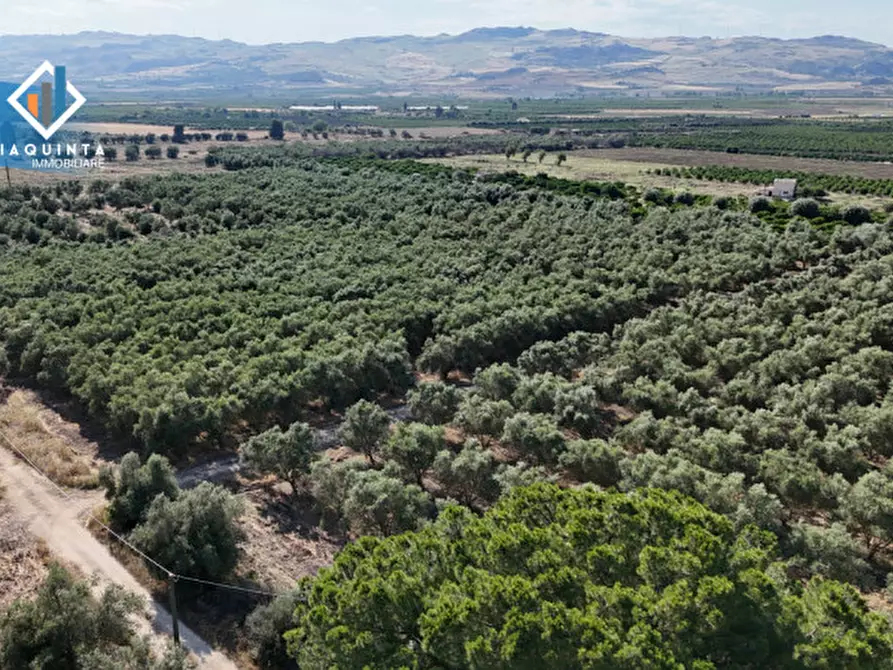Immagine 13 di Terreno in vendita  in c.da Canalotto snc a Mineo