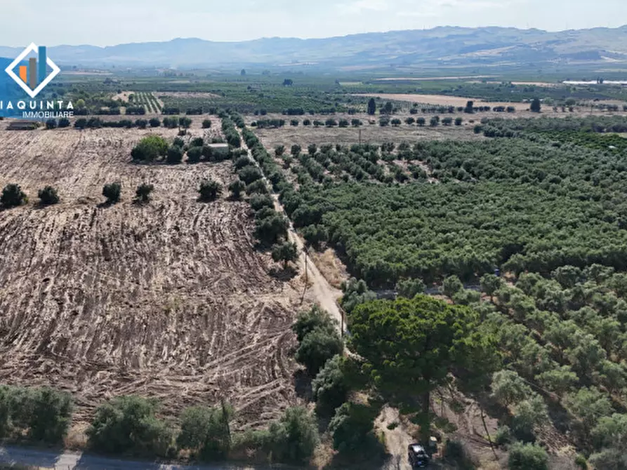 Immagine 14 di Terreno in vendita  in c.da Canalotto snc a Mineo