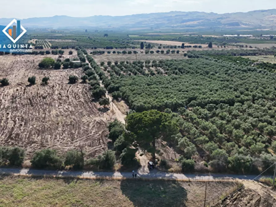 Immagine 16 di Terreno in vendita  in c.da Canalotto snc a Mineo
