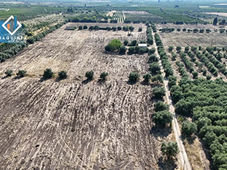 Immagine 17 di Terreno in vendita  in c.da Canalotto snc a Mineo