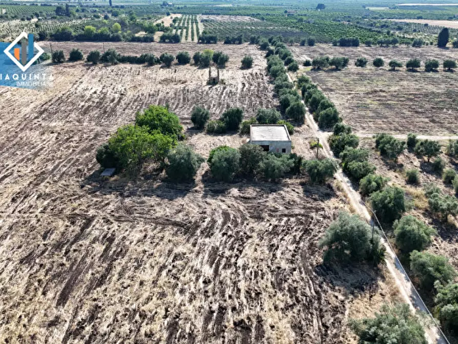 Immagine 18 di Terreno in vendita  in c.da Canalotto snc a Mineo