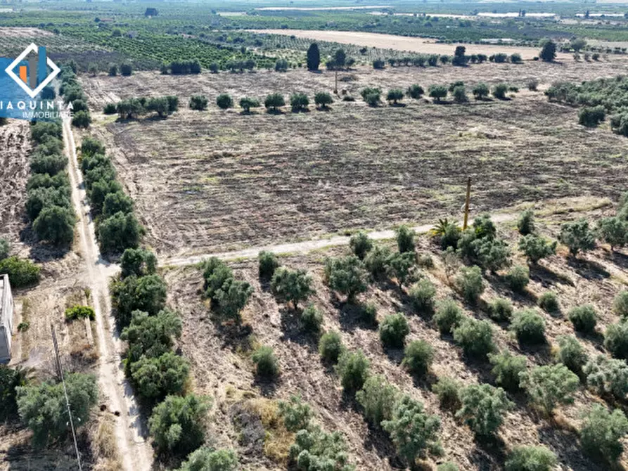 Immagine 19 di Terreno in vendita  in c.da Canalotto snc a Mineo