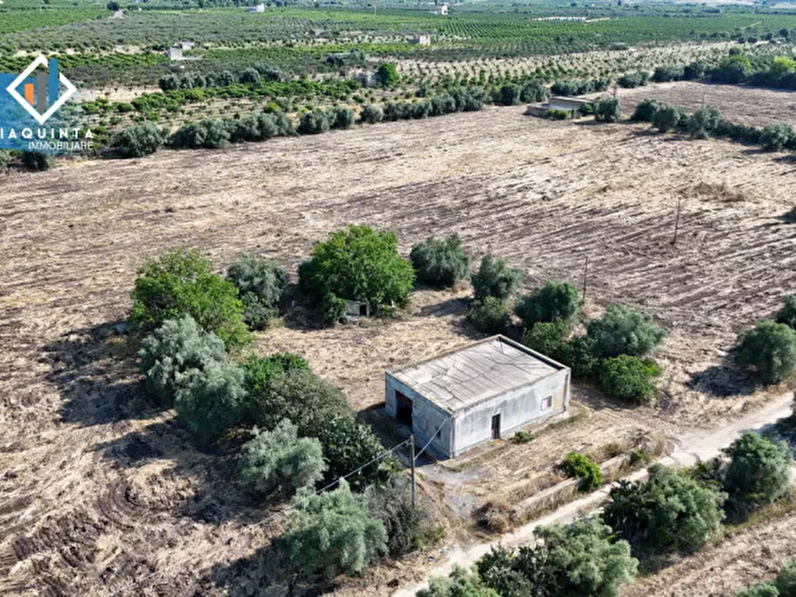 Immagine 20 di Terreno in vendita  in c.da Canalotto snc a Mineo