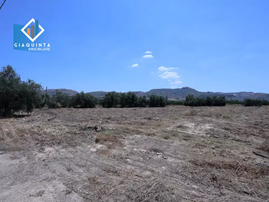 Immagine 21 di Terreno in vendita  in c.da Canalotto snc a Mineo