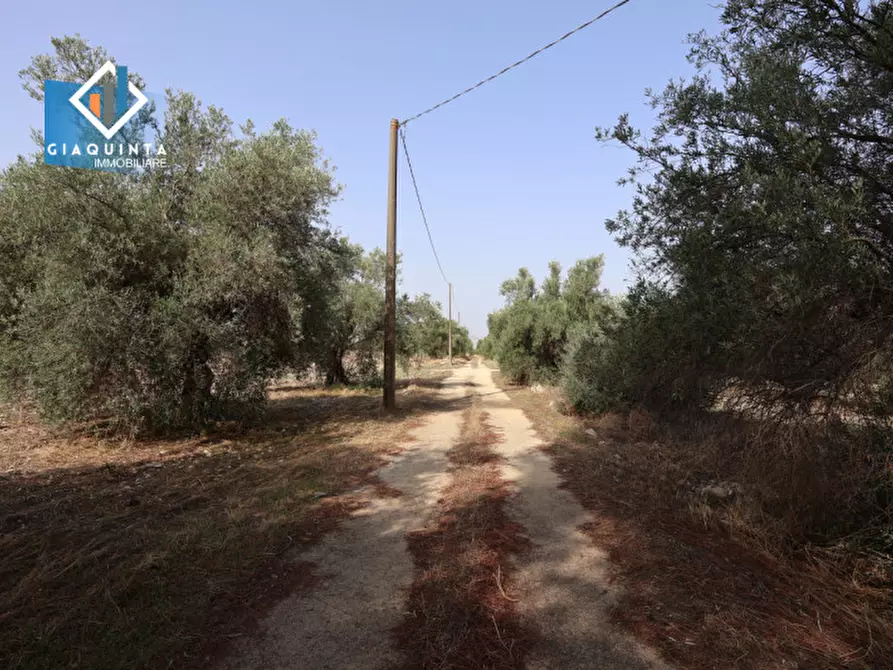 Immagine 22 di Terreno in vendita  in c.da Canalotto snc a Mineo