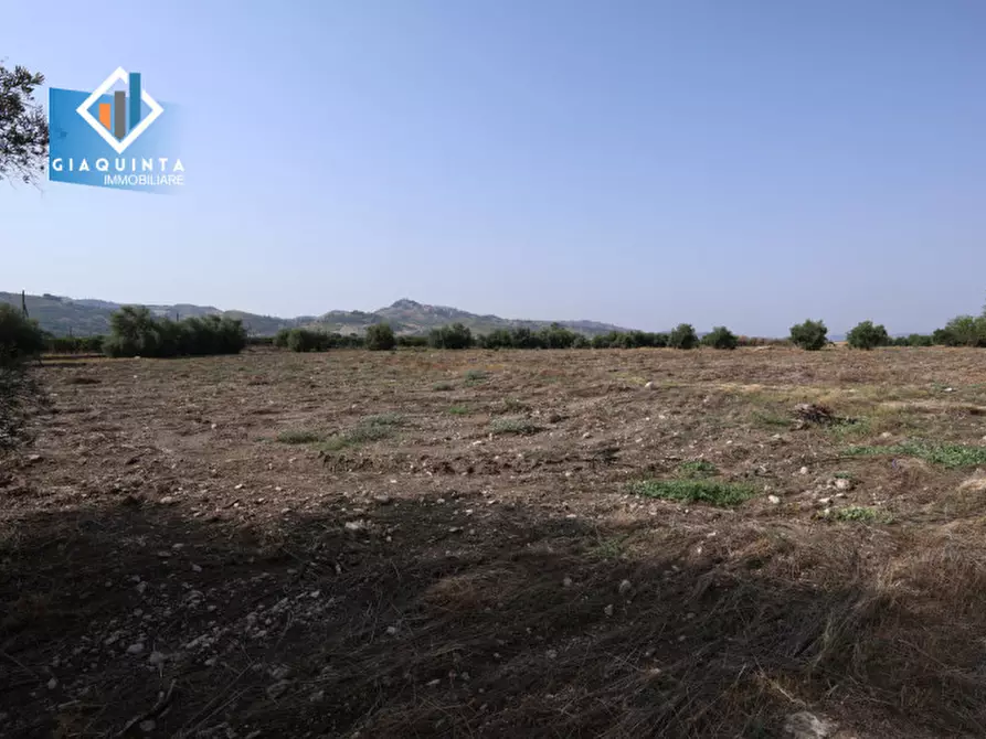 Immagine 23 di Terreno in vendita  in c.da Canalotto snc a Mineo