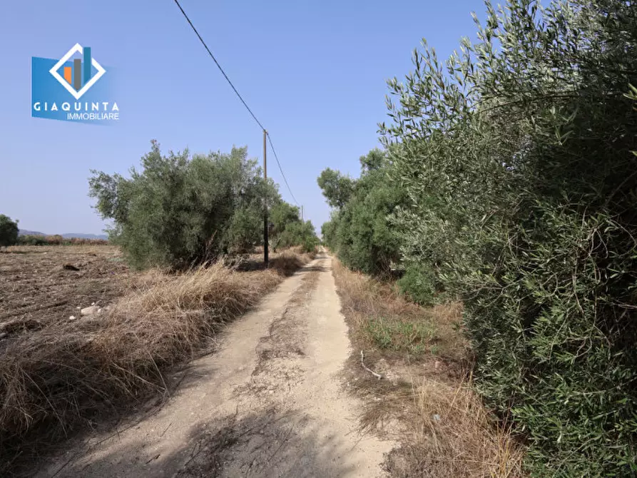 Immagine 25 di Terreno in vendita  in c.da Canalotto snc a Mineo