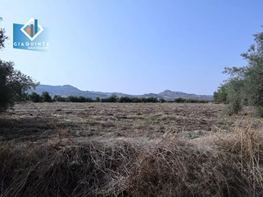 Immagine 26 di Terreno in vendita  in c.da Canalotto snc a Mineo