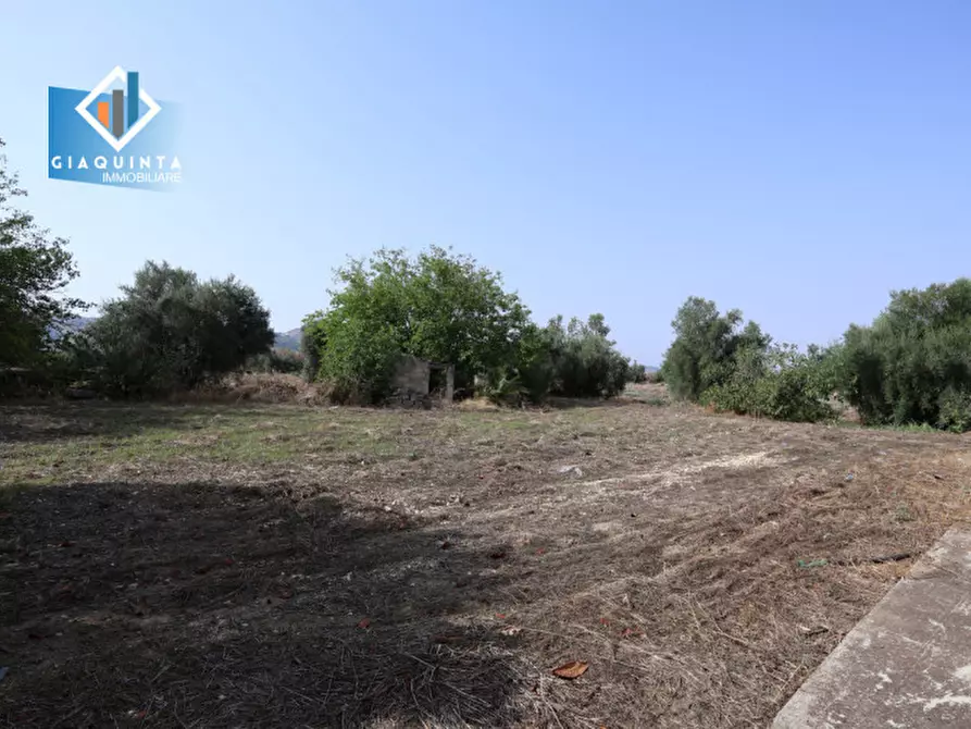 Immagine 27 di Terreno in vendita  in c.da Canalotto snc a Mineo