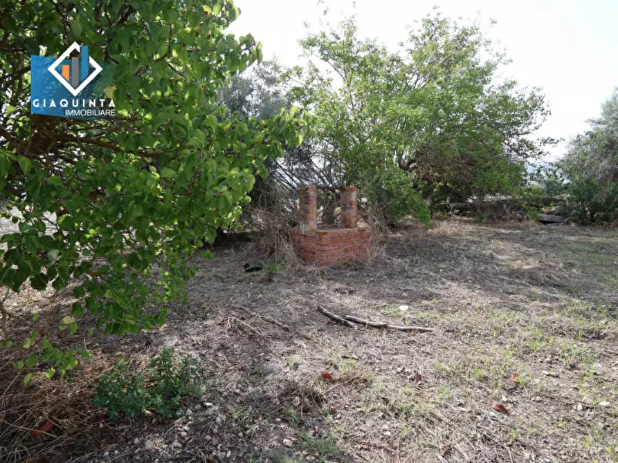 Immagine 29 di Terreno in vendita  in c.da Canalotto snc a Mineo