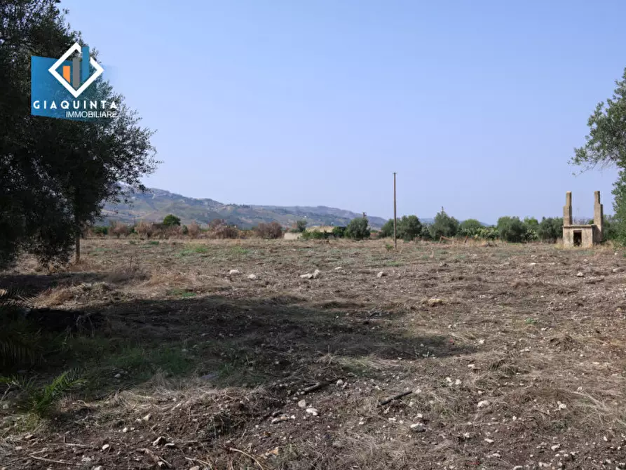 Immagine 30 di Terreno in vendita  in c.da Canalotto snc a Mineo