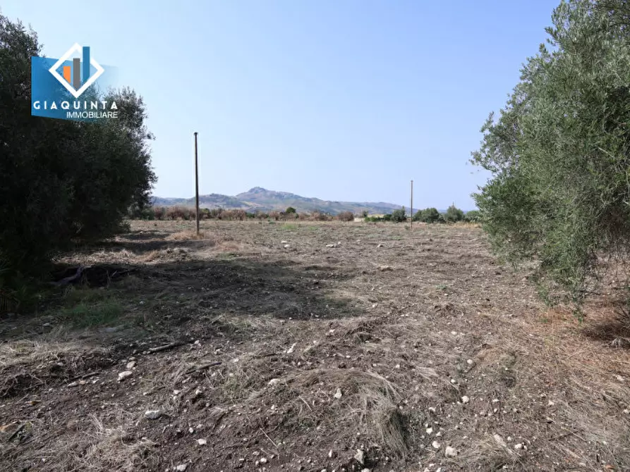 Immagine 31 di Terreno in vendita  in c.da Canalotto snc a Mineo