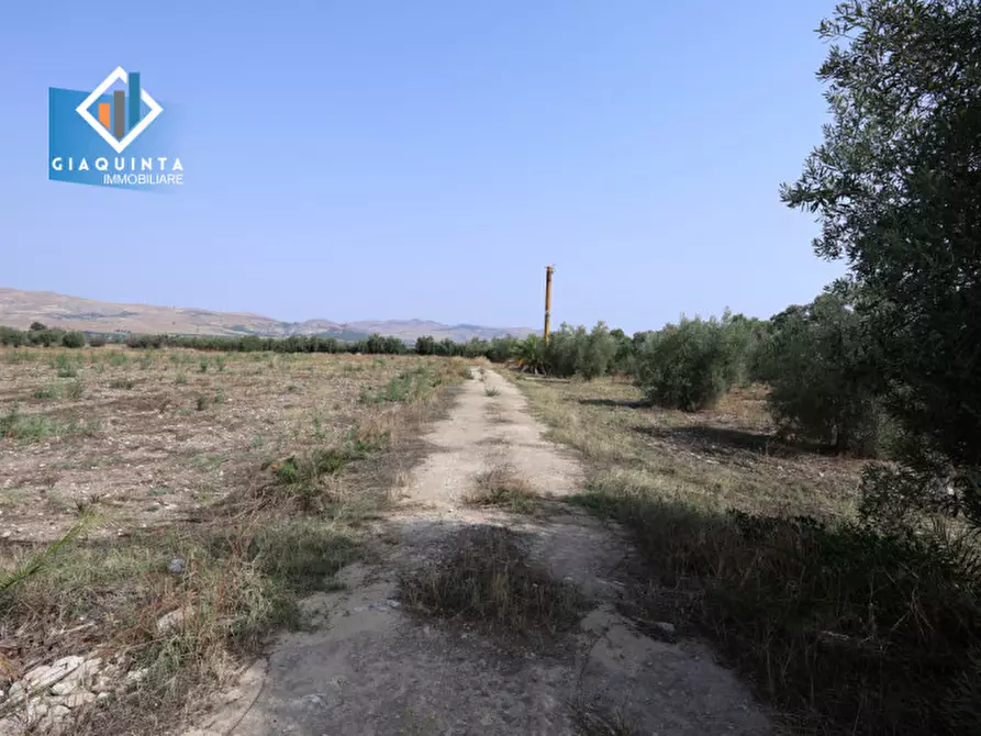 Immagine 32 di Terreno in vendita  in c.da Canalotto snc a Mineo