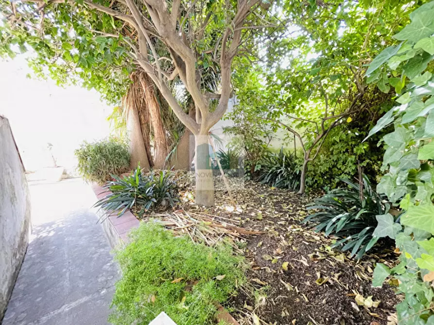 Immagine 9 di Casa indipendente in vendita  in Via Gaetano Morgera a Forio