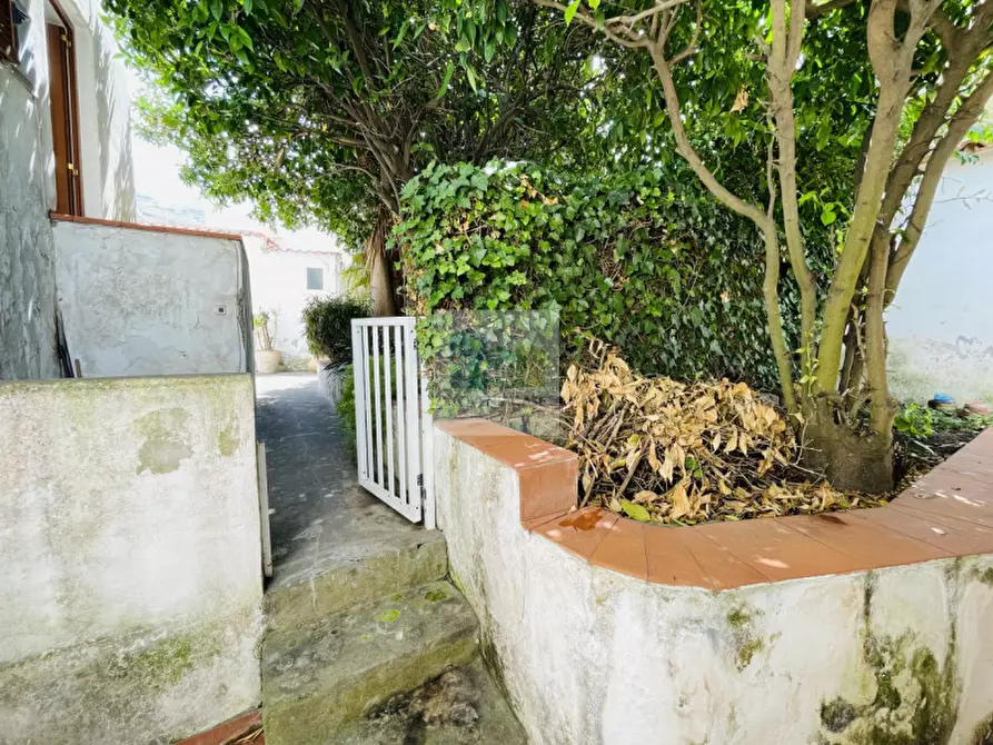 Immagine 13 di Casa indipendente in vendita  in Via Gaetano Morgera a Forio