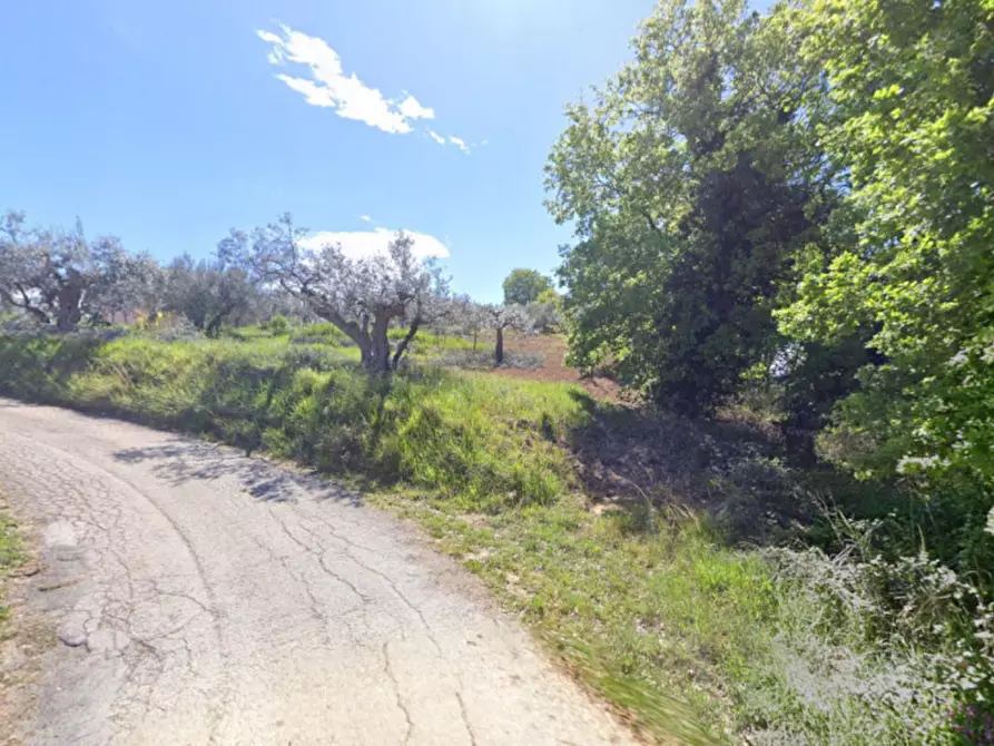 Immagine 3 di Terreno in vendita  in Contrada Casale, Villamagna CH, Italia a Villamagna