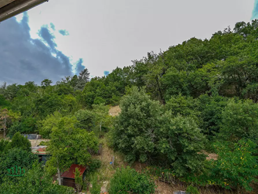 Immagine 24 di Appartamento in vendita  in Via Bettini a Sasso Marconi