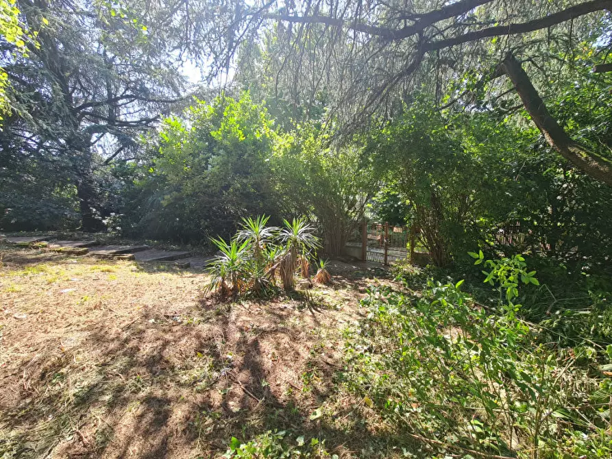 Immagine 7 di Villa in vendita  in Via Molare a Teolo