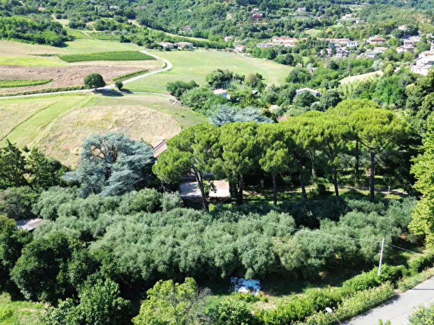 Immagine 9 di Villa in vendita  in Via Molare a Teolo