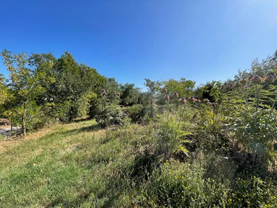 Immagine 21 di Villetta a schiera in vendita  a Senigallia