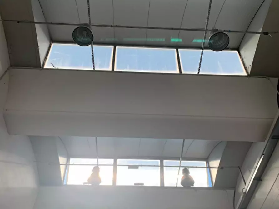 Immagine 5 di Capannone industriale in affitto  in Via Bragni a Cadoneghe