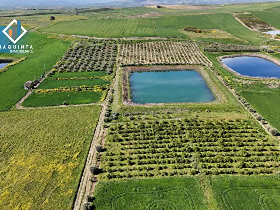 Immagine 1 di Terreno in vendita  in Contrada Polmone a Ramacca