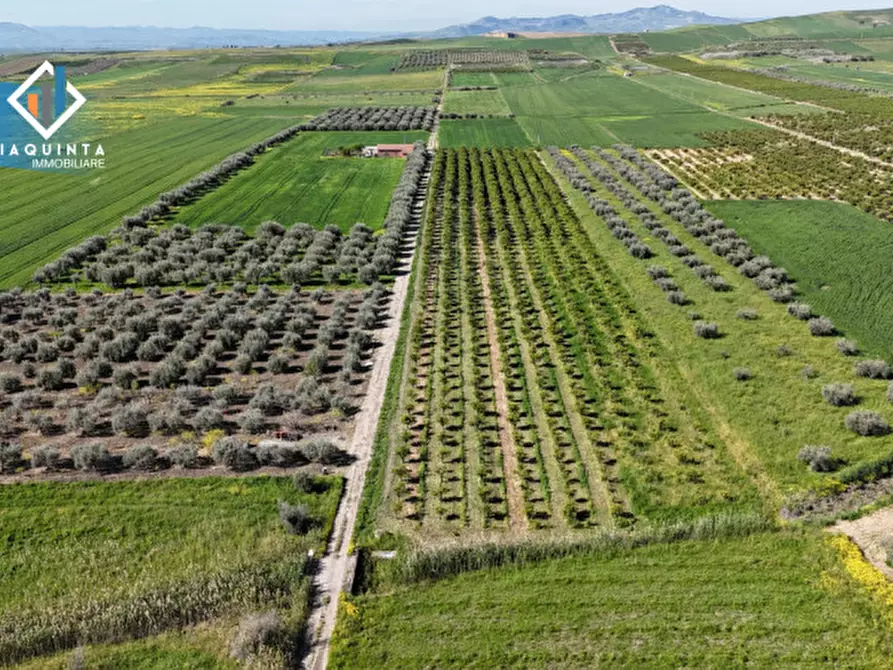Immagine 2 di Terreno in vendita  in Contrada Polmone a Ramacca