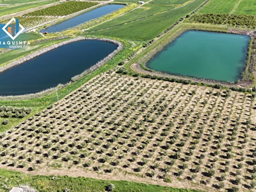 Immagine 5 di Terreno in vendita  in Contrada Polmone a Ramacca