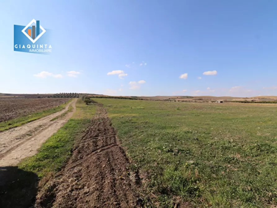 Immagine 6 di Terreno in vendita  in Contrada Polmone a Ramacca